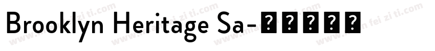 Brooklyn Heritage Sa字体转换